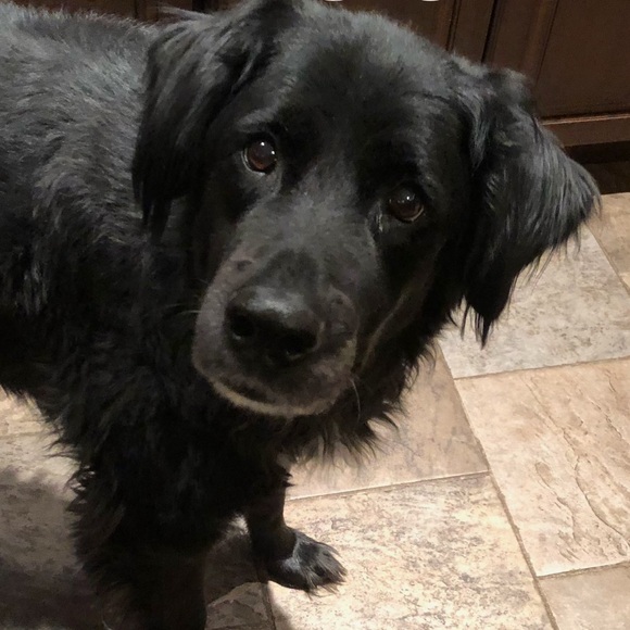 I’M LIVE BUYING AND SELLING TOGETHER 💵💵💵 - Picture 3 of 3